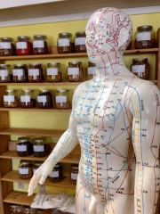 Acupuncture Points Acupuncture Points